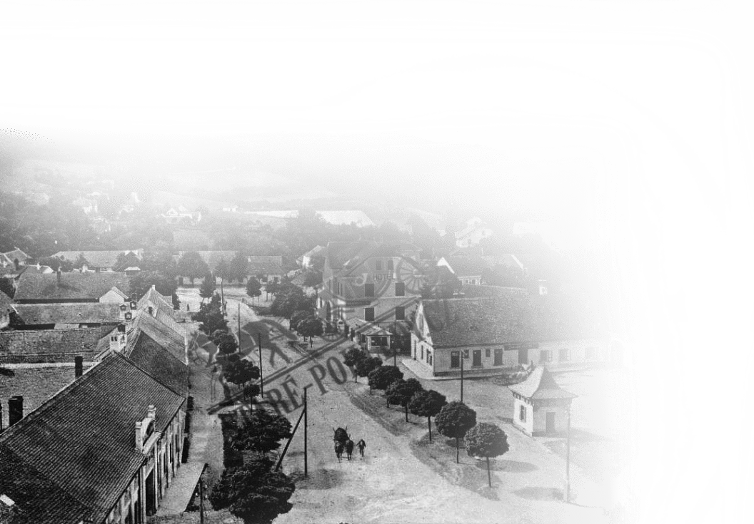 section-img